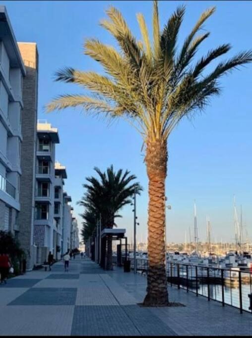 The Tulip Marina Highrise With Ocean View Appartamento *